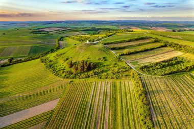 Güney Moravya bahar gezisi. Akşamın erken saatlerinde. Hatta sıra sıra ekilmiş tarlalar. Drone fotoğrafçılığı. Kuş bakışı çekim yapmak. Avrupa 'nın merkezinde güzel bir ülke.