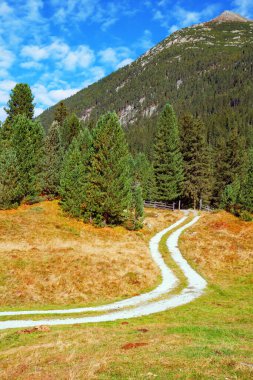 Winding road passes through a picturesque valley. Yellowed grass of alpine meadows. Krimml Falls are one of the most beautiful natural areas of the Austrian Alps.  clipart