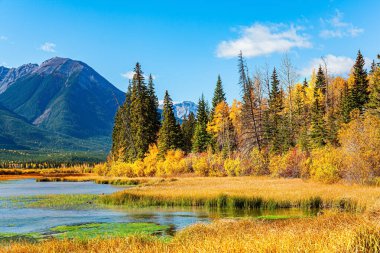 Vermilion Gölleri. Kanada Kayalıkları. Sakin, güneşli bir sonbahar günü. Parlak sarı çimenler ve gölleri çevreleyen görkemli dağlar. Park Banff. 