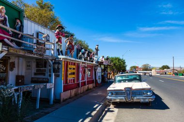 Festival - Uyum. Japon Hitachi Sahil Parkı 'nda muhteşem bir bahar çiçeği festivali. Mayıs Çiçek Festivali