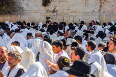 JERUSALEM, ISRAEL - 26 Eylül 2018: Binlerce Yahudi Ağlama Duvarı 'nda dua ediyor. Ayin kıyafetleri giyen Yahudiler dört adet ayin bitkisine sahipler. Sonbahar sabahı Sukkot. 