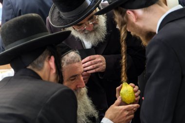 JERUSALEM, ISRAEL - 20 Eylül 2018: Dindar Yahudiler muhteşem ağacın etrog meyvesini seçtiler. Geleneksel ayin bitkileri festivali Sukkot arifesinde. Dini ve fotoğraf turizmi kavramı