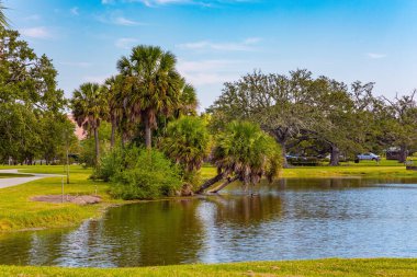 Kıyıdaki küçük güzel koruluk. Muhteşem sessiz gölleri olan şehir parkı. - New Orleans. Amerika 'nın en büyük parklarından biri. Güzel sonbahar havası