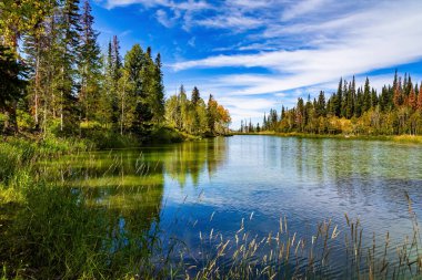  Bulutlu gökyüzü gölün pürüzsüz soğuk suyuna yansıyor. Etrafı köknar ağaçlarıyla çevrili sessiz bir göl. Moab yolu. Amerika 'nın batısına sonbahar gezisi. Muhteşem Utah manzarası