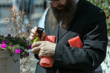 JERUSALEM, ISRAEL - 20 EYLÜL 2018: Ortodoks Yahudileri büyüteçle kontrol ediyorlar. Sukkot Güz Hasadı tatili. Dini, etnografik ve fotoğraf turizmi kavramı