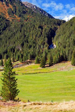 Evergreen ormanlarıyla kaplı dağlar. Yol pitoresk vadiden geçiyor. Krimmml şelaleleri dünyanın en güzel doğal yerlerinden biridir. Avusturya Alpleri. 
