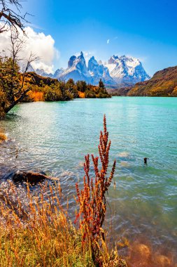 Eriyen buzullar yüzünden Pehoe Gölü 'nün masmavi suları. Pehoe Gölü kıyısındaki toprak yol. Şili Torres del Paine Ulusal Parkı. Patagonya.