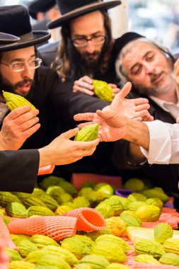 JERUSALEM, ISRAEL - 20 Eylül 2018: dindar genç Yahudiler etrogu seçerler. Sukkot arifesinde Kudüs 'te tatil öncesi market. Dini, etnografik ve fotoğraf turizmi kavramı