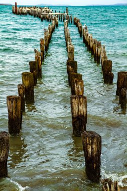 Yıkılmış bir iskelenin kararmış odunu. Macellan Boğazı. Punta Arenas, Afrika kıtasında yer alan bir şehirdir. Şili.