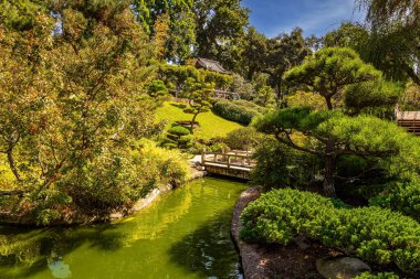 Muhteşem bir park Huntington. Gölün üzerinde ahşap köprü ve Los Angeles 'ın çevresinde yeşil çalılıklar olan dereler. ABD. 