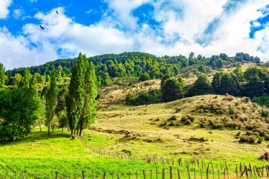 Efsanevi Carretera Austral. Dünyanın öbür ucuna yolculuk etmek. Ahşap çit yeşil çim tarlasını sarar. Ufuktaki muhteşem And Dağları