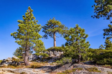 Donnell Vista büyüleyici bir tepe noktası. Donnell Reservoir ve Stanislaus Lake Canyon 'a bakan gözcü. ABD, Kaliforniya,