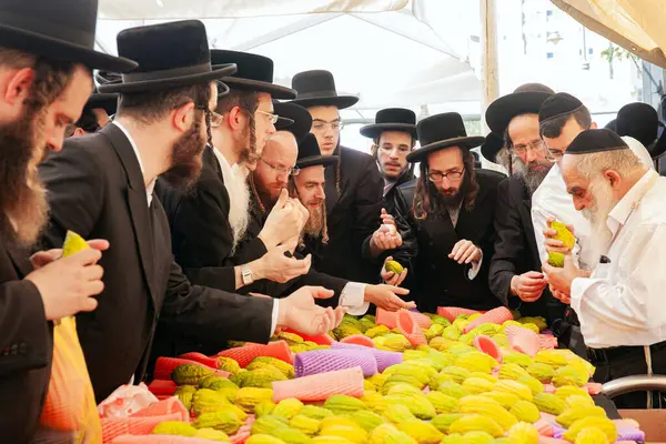 JERUSALEM, ISRAEL - 20 Eylül 2018: Dört çeşit bitki pazarı açılıyor. Siyah şapkalı dindar Yahudiler etrogları seçiyor. Muhteşem bir ağacın meyvesi Etrog 'dur.. 