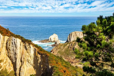 Evergreen ağaçlar ve taşlar. Asturias 'taki resim plajı. Playa del Silencio. Şeffaf gök mavisi su ve Atlantik Okyanusu 'nun küçük dalgaları. İspanya. 
