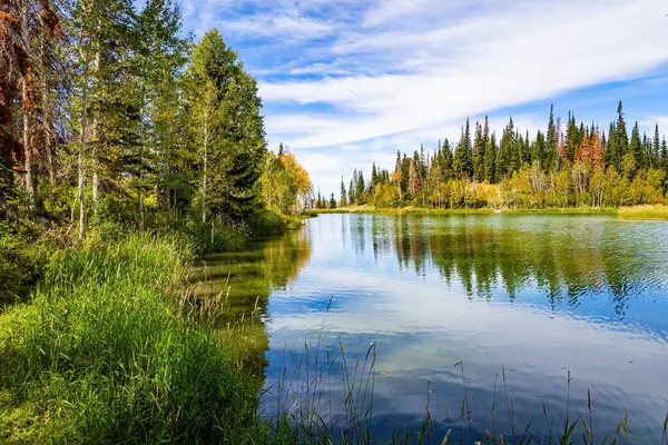  Amerika 'nın batısına sonbahar gezisi. Bulutlu gökyüzü gölün pürüzsüz soğuk suyuna yansıyor. Etrafı köknar ağaçlarıyla çevrili sessiz bir göl. Moab yolu. Utah 