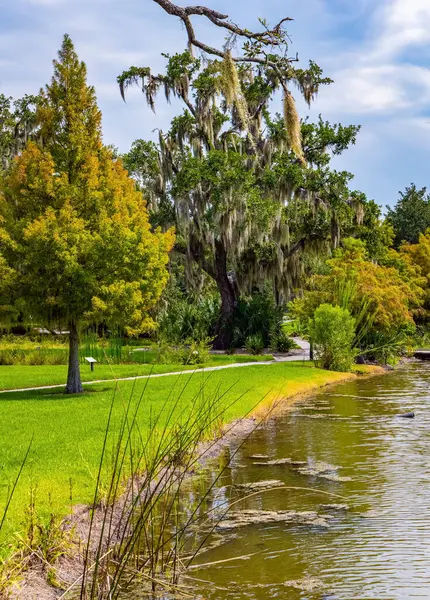 Muhteşem sessiz gölleri olan şehir parkı. - New Orleans. Amerika 'nın en büyük parklarından biri. Güzel sonbahar havası