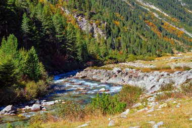 Erimiş gök mavisi akıntısı Krimmml Şelaleleri vadisine akar. Avusturya Alplerinin en güzel doğal alanları. Sonsuza dek yeşil ormanlarla kaplı dağlar..