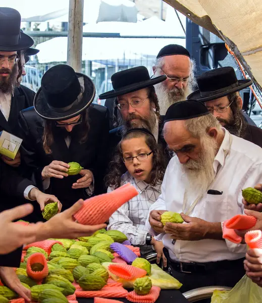 JERUSALEM, ISRAEL - 20 EYLÜL 2018: Dindar Yahudiler etrog 'u seçiyor - Sukkot arifesinde geleneksel muhteşem ağaç ayin bitkilerinin meyvesidir. Dini ve fotoğraf turizmi kavramı