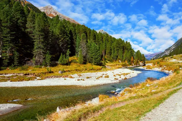 Krimmml Şelaleleri vadisine temiz ve temiz bir su akıntısı akıyor. Avusturya Alplerinin en güzel doğal alanları..