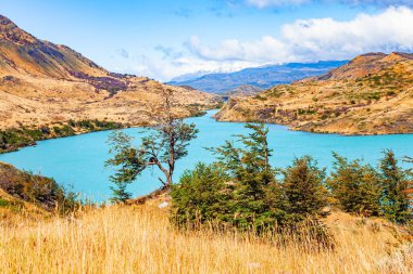 Rio Paine nehri. Soğuk eritilmiş turkuaz renkli buzlu su. Torres del Paine Ulusal Parkı. Nehir dağların arasından akar. Şili Patagonya gezisi. 