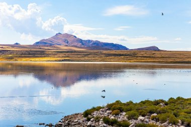Dev Antilop adasının içindeki muhteşem göl. Büyük Salt Lake. Utah. ABD. Gölde yansıyan bulutlar ve dağlar