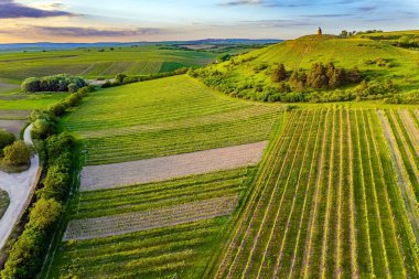 Hatta sıra sıra ekilmiş tarlalar. Drone fotoğrafçılığı. Akşamın erken saatlerinde. Avrupa 'nın merkezinde güzel bir ülke. Güney Moravya bahar gezisi. Kuşbakışı çekim.. 
