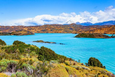 Chiles Patagonia. Lago Pehoe. Torres del Paine Ulusal Parkı. Eriyen buzulların suyunun gök mavisi var. Parlak soğuk güneş. 
