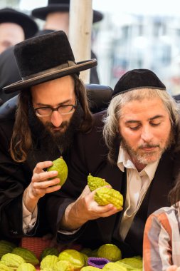 JERUSALEM, ISRAEL - 20 Eylül 2018: Sukkot arifesinde Kudüs 'te tatil öncesi pazar. Fotoğraf turizmi kavramı. Dindar genç Yahudiler muhteşem bir ağacın meyvesi olan etrog 'u seçtiler.