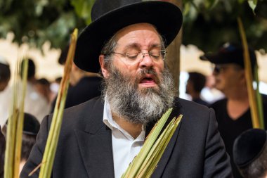 JERUSALEM, ISRAEL - 20 EYLÜL 2018 Dindar Yahudi dikkatle bir lulav seçer. Sukkot Güz Hasadı tatiline hazırlanıyorum. Dini, etnografik ve fotoğraf turizmi kavramı