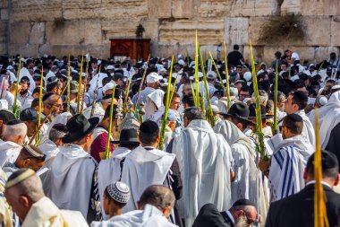 JERUSALEM, ISRAEL - 26 Eylül 2018: sabah sonbahar Sukkot. Batı Tapınak Duvarı 'nın önündeki bölge insanlarla doluydu. Ayin kıyafetleri giyen Yahudiler, dört adet ayin bitkisi bulunduruyorlar.