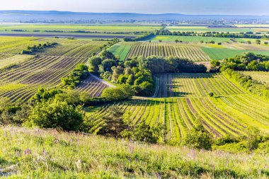 Güney Moravya. Çek Cumhuriyeti 'nin tarım sektörü. Kırsal yerleşim yerleri bile gün batımında aydınlanır. Kuş bakışı görüntü. Avrupa 'nın merkezinde çiçek açan bölge. 