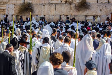 JERUSALEM, ISRAEL - 26 EYLÜL 2018: Ayin kıyafetleri giyen Yahudiler - 4 adet ayin bitkisi bulunduruyorlar. Sonbahar sabahı Sukkot. Tallits sarılı binlerce Yahudi Ağlama Duvarı 'nda dua ediyor.. 
