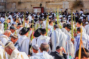 JERUSALEM, ISRAEL - 26 Eylül 2018: Dindar Yahudiler Tallit 'teki Batı Tapınak Duvarı' nda dua ediyorlar. Kohanim 'in kutsaması. Sonbahar sabahı Sukkot. 