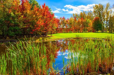 Kuzey Kanada sonbaharı yemyeşil. Kırmızı, sarı ve portakal ağaçları göletin yumuşak suyuna yansıyor. Sıcak, güneşli bir gün. Gölet uzun otlarla kaplanmış.