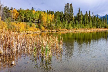Bow River Vadisi 'ndeki Vermillion Gölleri. Kanada mı? Kayalık dağlar ve ağaçlar gölün suyuna yansıdı. Gün batımı. 