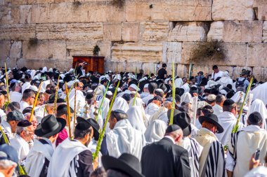 JERUSALEM, ISRAEL - 26 EYLÜL 2018: Ayin kıyafetleri giyen Yahudiler - 4 adet ayin bitkisi bulunduruyorlar. Sonbahar sabahı Sukkot. Batı Tapınak Duvarı 'nın önündeki bölge insanlarla dolu.