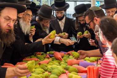 JERUSALEM, ISRAEL - 20 EYLÜL 2018 Sukkot arifesinde geleneksel ayin bitkileri fuarı. Dindar Yahudiler muhteşem ağaçtan etrog meyvesi seçerler. Dini ve fotoğraf turizmi kavramı