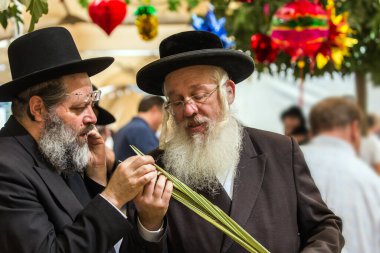 JERUSALEM, ISRAEL - 20 Eylül 2018: Dindar adamlar - Yahudiler lulavı dikkatle seçerler. Kudüs 'te tatil öncesi çarşı. Dini, etnografik ve fotoğraf turizmi kavramı