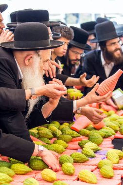 JERUSALEM, ISRAEL - 20 Eylül 2018: Kudüs 'te tatil öncesi pazar. Dindar Yahudiler etrogu seçerler. Sukkot arifesi. Dini, etnografik ve fotoğraf turizmi kavramı