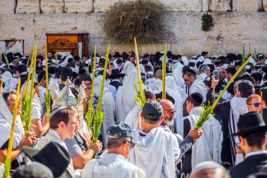 JERUSALEM, ISRAEL - 26 Eylül 2018: Batı Tapınak Duvarı 'nın önündeki alan insanlarla doluydu. Ayin kıyafetleri giyen Yahudiler dört adet ayin bitkisine sahipler. Sonbahar sabahı Sukkot  