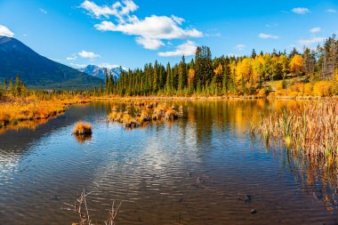 Hint yazı. Kanada Rocky Dağları 'ndaki Banff Ulusal Parkı. Vermilion Gölleri. Harika sıcak bir sonbahar günü. Alberta..