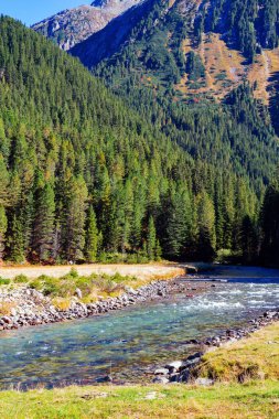 Fırtınalı, gök gürleyen eriyen ve gök mavisi suyu Krimmml Falls vadisine akar. Avusturya Alplerinin en güzel doğal alanları. Sonsuza dek yeşil ormanlarla kaplı dağlar..