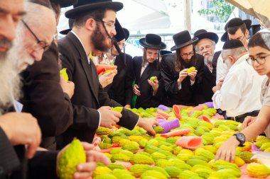 JERUSALEM, ISRAEL - 20 Eylül 2018: Muhteşem bir ağacın meyvesi Etrog 'dur. Dört çeşit bitki pazarı açılır. Siyah şapkalı dindar Yahudiler etrogları seçiyor.. 