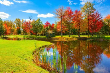 Kırmızı, sarı ve portakal ağaçları göletin yumuşak suyuna yansıyor. Bromont yolu, Kanada. Sonbaharın sihirli renkleri. Sıcak bir gün.. 