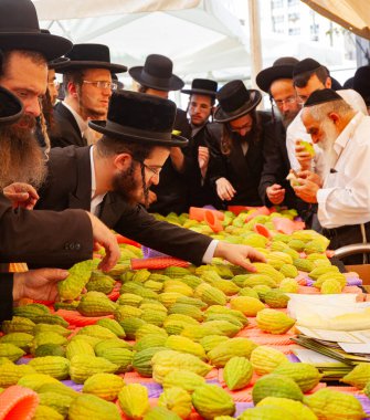 JERUSALEM, ISRAEL - 20 Eylül 2018: Dört çeşit bitki pazarı açılıyor. Uzun kenarı olan dindar Yahudiler etrogları seçerler. Muhteşem bir ağacın meyvesi Etrog 'dur.. 