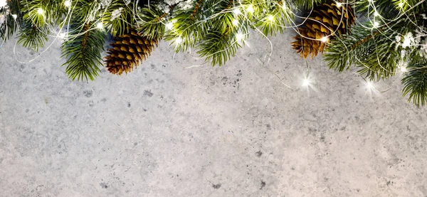 복제품 공간을 배경으로 크리스마스빛나는 전나무 가지들 — 스톡 사진