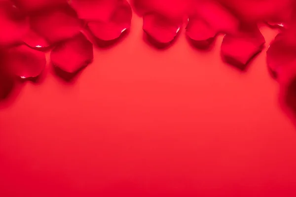 Sevgililer Günü Tebrik Kartı Şablonunda Kırmızı Arka Planda Gül Yaprakları — Stok fotoğraf