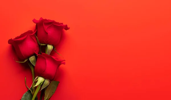 Открытки День Святого Валентина Цветами Роз Квартира Пространством Ваших Любовных — стоковое фото