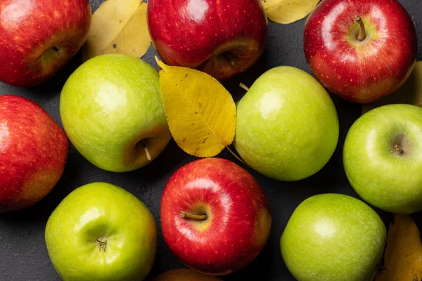 Red Green Garden Apple Flat Lay — Stock Photo, Image