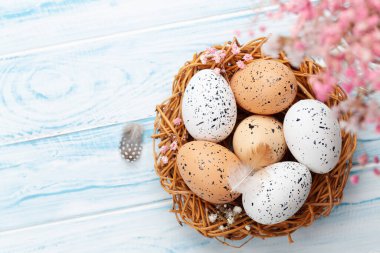 Yuvasında paskalya yumurtası olan Paskalya tebrik kartı. Üst görünüm düzlüğü kopyalama alanı ile yatıyordu
